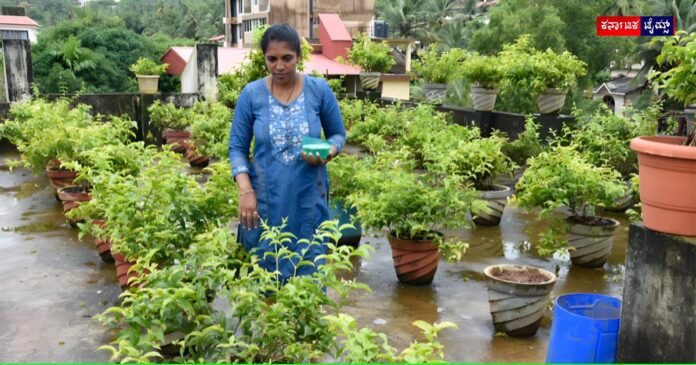 A woman who is earning 60 thousand per month by farming at Terrace Garden